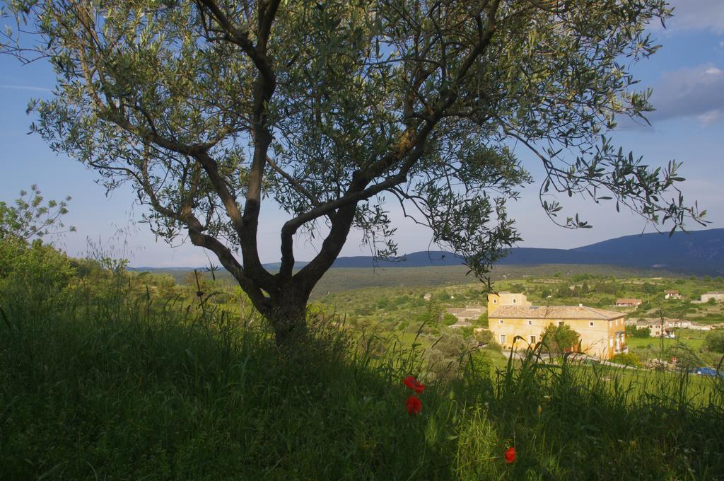 Pontet-Fronzele Agrotourisme Ecologique, Maison D'Hotes & Spa Лагорс Экстерьер фото